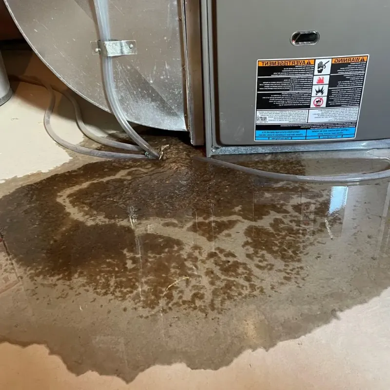Pipe Burst and Leak Restoration in Middlesex County, VA