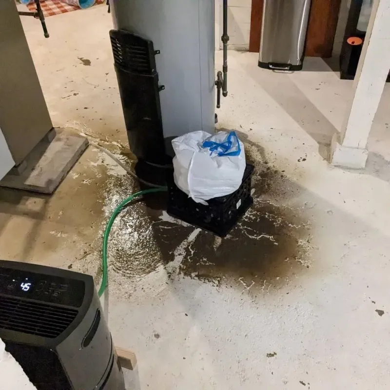 Sewage Backup Cleanup Service in Middlesex County, VA